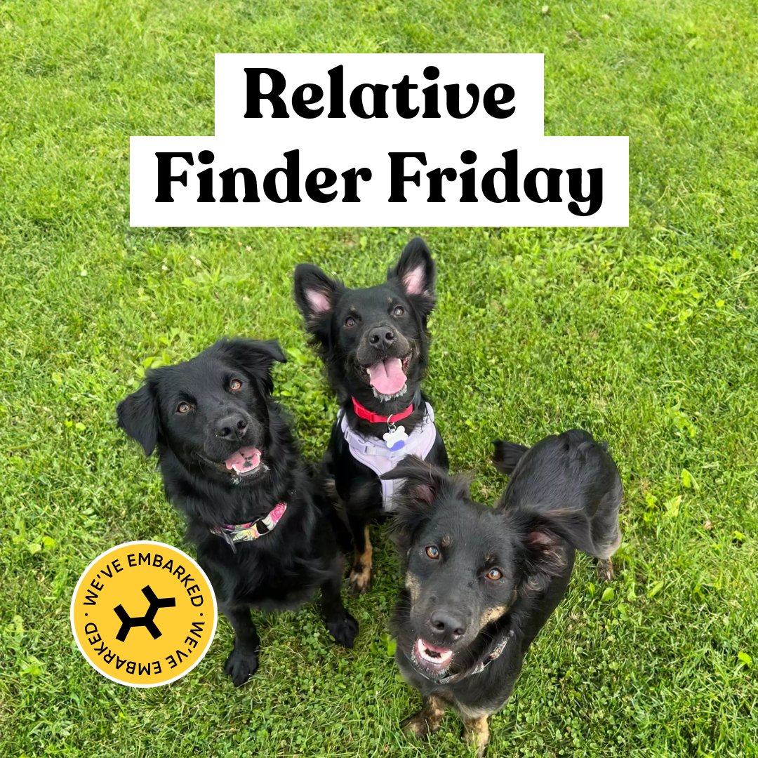 It’s Relative Finder Friday! Sister Act: Pup Edition! These long-lost sisters didn’t just reunite — they teamed up to rescue their sibling, proving that family really does save the day! 🐾 

Check out the full story behind this heartwarming tale: bit.ly/3YjpPzu