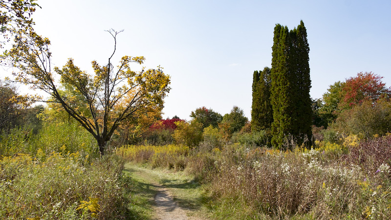 🍂  Wishing everyone a happy, healthy, and restful long weekend! 🍂 

I’d love to hear from you all—what are your plans?

🌻 Where will you be this weekend? 
🎃 Any events you're excited about?  
🥘 What's happening in your corner of the world?

📷 : The Arboretum Image Gallery