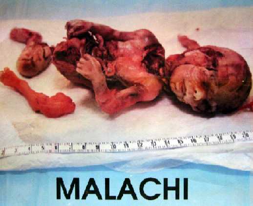 Operation Save America tweet media