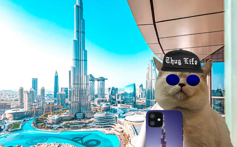 SelfieCatCoin's tweet photo. So flipping bullish 😺🤳 

$CELFIE https://t.co/9kzE2OlITt