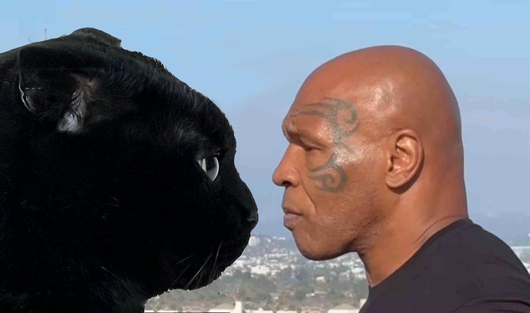 <a href="/CryptoGodJohn/">John</a> $MeonJi is gearing up for crazy Uptober season as well as 100M this cycle.