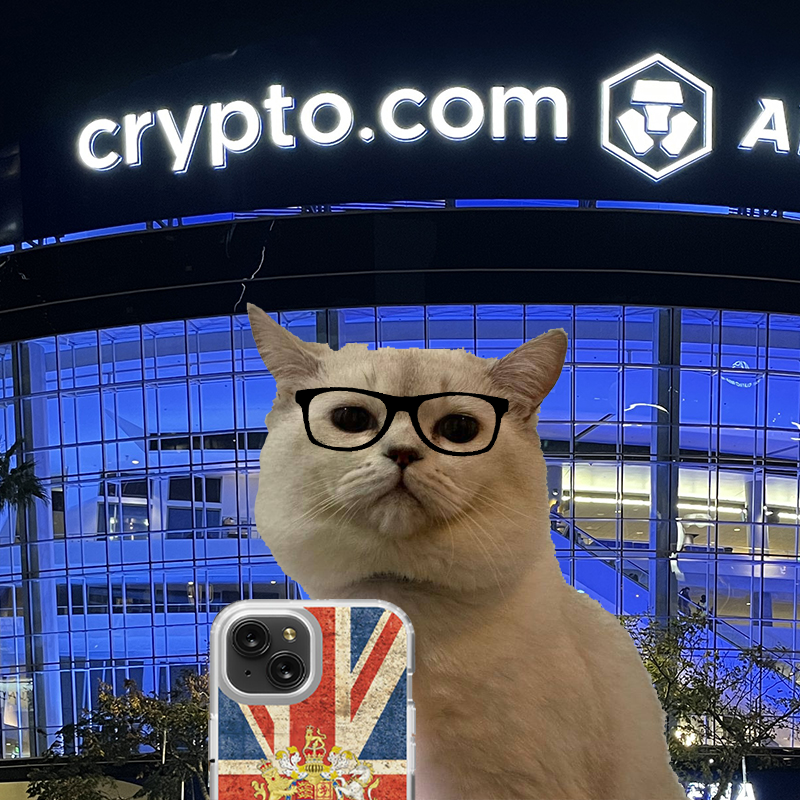 SelfieCatCoin's tweet photo. No filter needed. $CELFIE https://t.co/TqJ49cyjDm