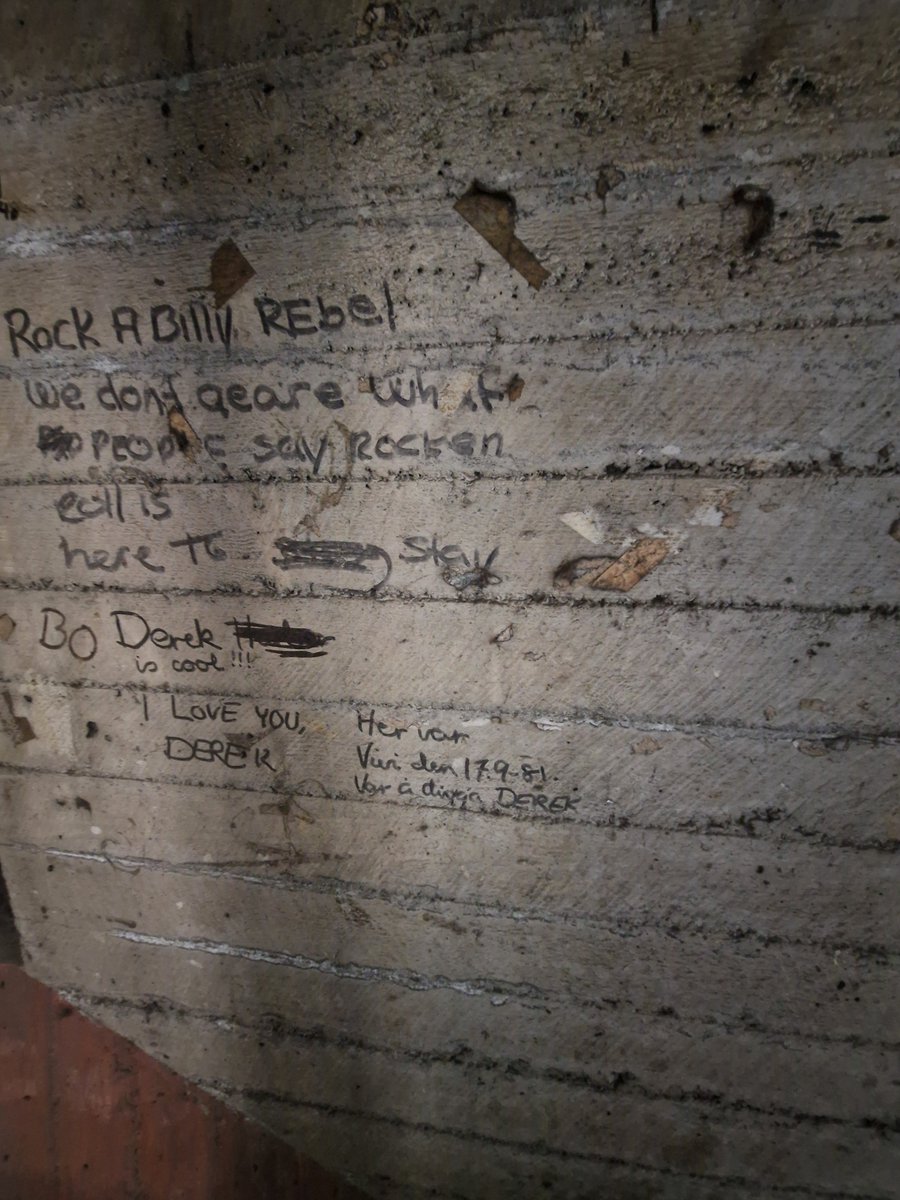 tomalexdon's tweet photo. @kirkbrandon Right? It's probably been hidden since 81/82 (luckily someone dated their Bo Derek graffiti next to it 😅) https://t.co/qf3cSrNyFw