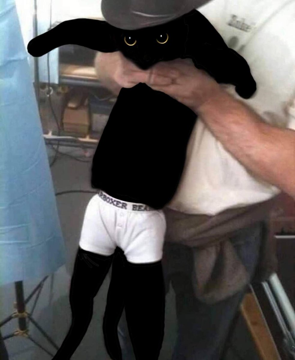 <a href="/Cold_xyz/">Cold</a> We pump $MeonJi. Can't tell if this black cat is cute or spooky. You decide.