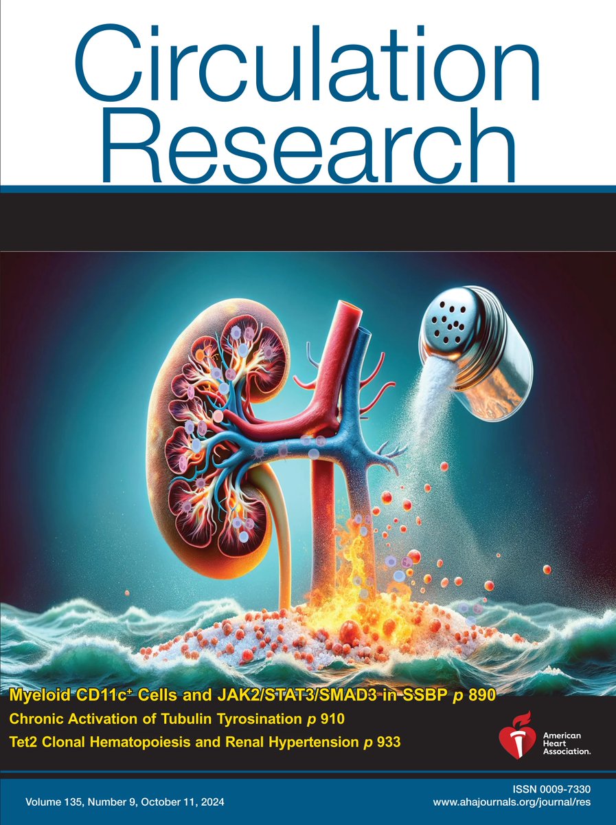 Annet Kirabo D.V.M., M.Sc., Ph.D., F.A.H.A. (@annetkiraboc1) on Twitter photo Featured on #cover of <a href="/CircRes/">Circulation Research</a> is our paper on #APC #JAK2 signaling in human #salt sensitive #hypertension 👇🏿
ahajrnls.org/3ZYlvXx
<a href="/saleemMMH/">Mohd Saleem</a> <a href="/ashleypitzer/">ashley pitzer</a> <a href="/LErtuglu/">Lale Ertuglu, MD</a> @<a href="/CWanjallaMDPhD/">Celestine Wanjalla</a> <a href="/PaulKastner128/">Paul Kastner</a> <a href="/DoctorAlbritton/">Claude F. Albritton II</a> <a href="/drtasir2011/">Taseer Ahmad Pharm.D, MPhil, PhD</a> <a href="/AlexBickMDPhD/">Alex Bick</a> Featured on #cover of <a href="/CircRes/">Circulation Research</a> is our paper on #APC #JAK2 signaling in human #salt sensitive #hypertension 👇🏿
ahajrnls.org/3ZYlvXx
<a href="/saleemMMH/">Mohd Saleem</a> <a href="/ashleypitzer/">ashley pitzer</a> <a href="/LErtuglu/">Lale Ertuglu, MD</a> @<a href="/CWanjallaMDPhD/">Celestine Wanjalla</a> <a href="/PaulKastner128/">Paul Kastner</a> <a href="/DoctorAlbritton/">Claude F. Albritton II</a> <a href="/drtasir2011/">Taseer Ahmad Pharm.D, MPhil, PhD</a> <a href="/AlexBickMDPhD/">Alex Bick</a>