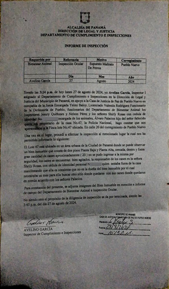 ELVIRA PALACIOS tweet media
