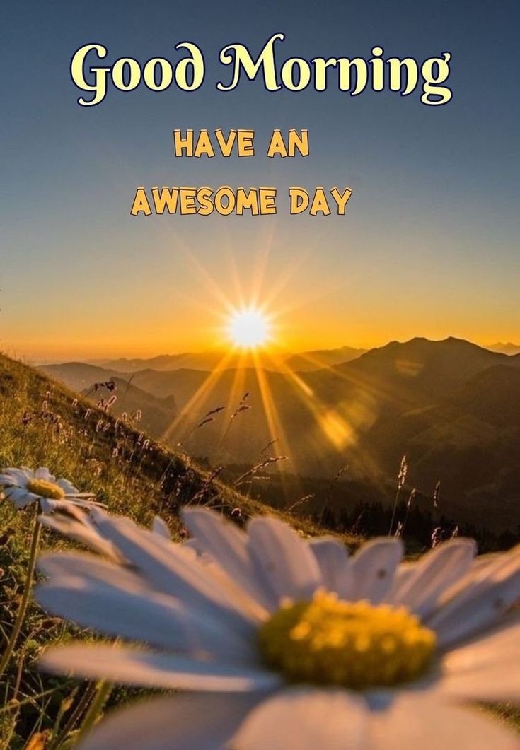 𝐇𝐚𝐯𝐞 𝐀 Great𝐟𝐮𝐥,🌟🧡🌿🌿
🌞🩷G◉⁠‿⁠◉D     
                 🩵🩵🌞 **..MORNING..** 🌞🩵🩵

🪴1️⃣0️⃣0️⃣% 🇨‌🇴‌🇲‌🇲‌🇪‌🇳‌🇹‌ 🇧‌🇦‌🇨‌🇰‌