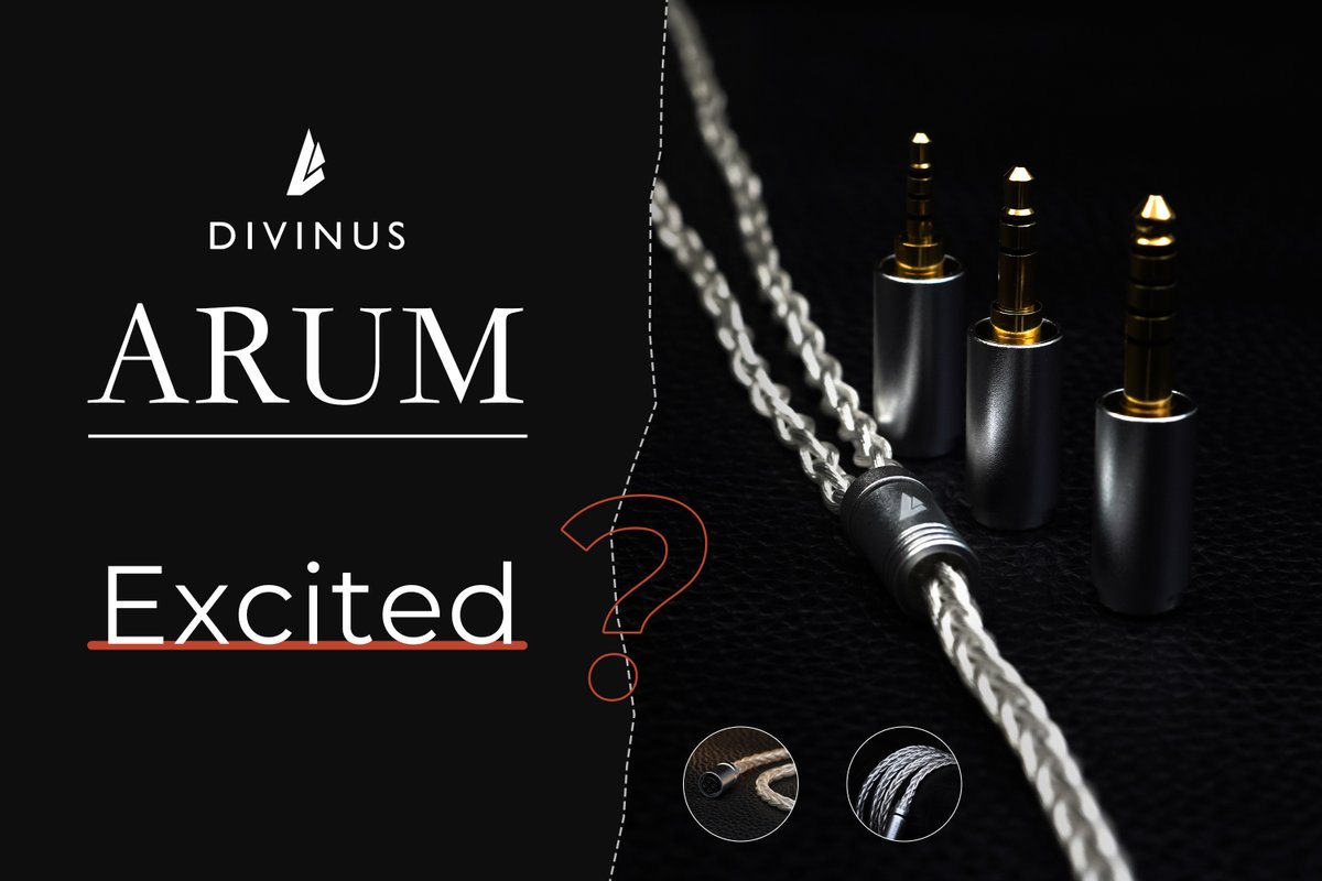 HifigoJp's tweet image. 『新製品情報』✨

🧐イヤーチップの専門メーカーとして知られるDivinusが、なんとIEMケーブル市場に参入するようです！🤩

🤘期待が高まりますね。新たな製品ラインナップが楽しみです！😍

#Divinus #IEM #ケーブル #オーディオ #HiFI #Music