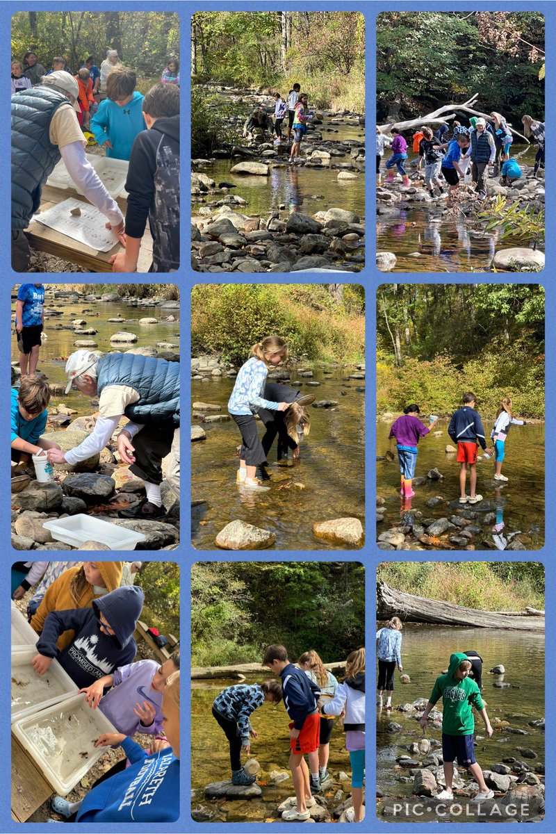 Susan Klotz tweet media