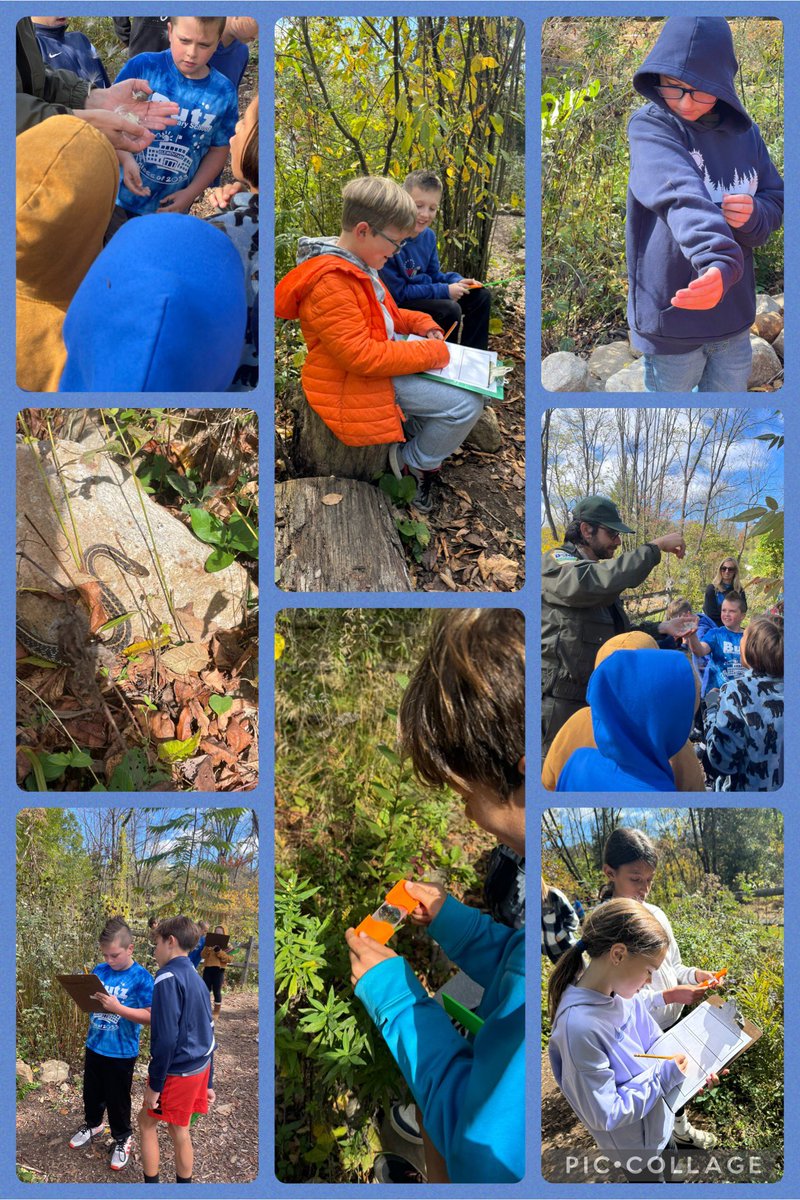 Susan Klotz tweet media