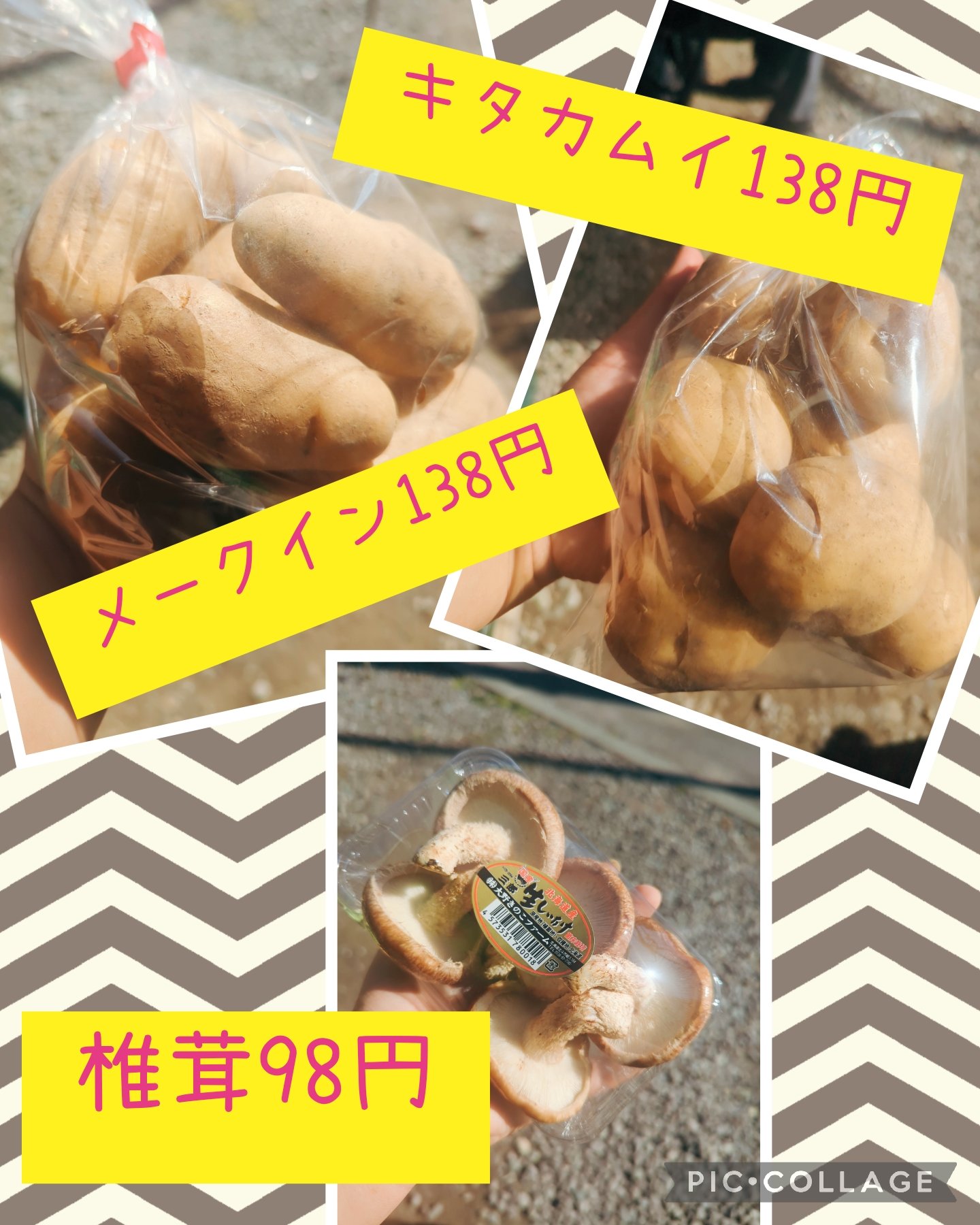 ナカちゃん様専用 塗装オーダーページ ミニ四駆 なかちゃん様専用ページ