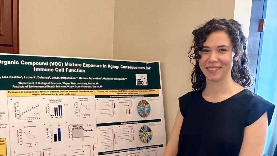 sadagurski's tweet image. Huge congrats to @scofield_sydney for taking 1st place in the poster competition at the Michigan chapter of @SOToxicology! 🏆🎉 Amazing work on #environmentaltoxins, #brain, #aging, and of course, our favorite #microglia! 🧠 #ProudLab #ToxSci @Wayne_IEHS @CLEARWSU @WSUBioSci