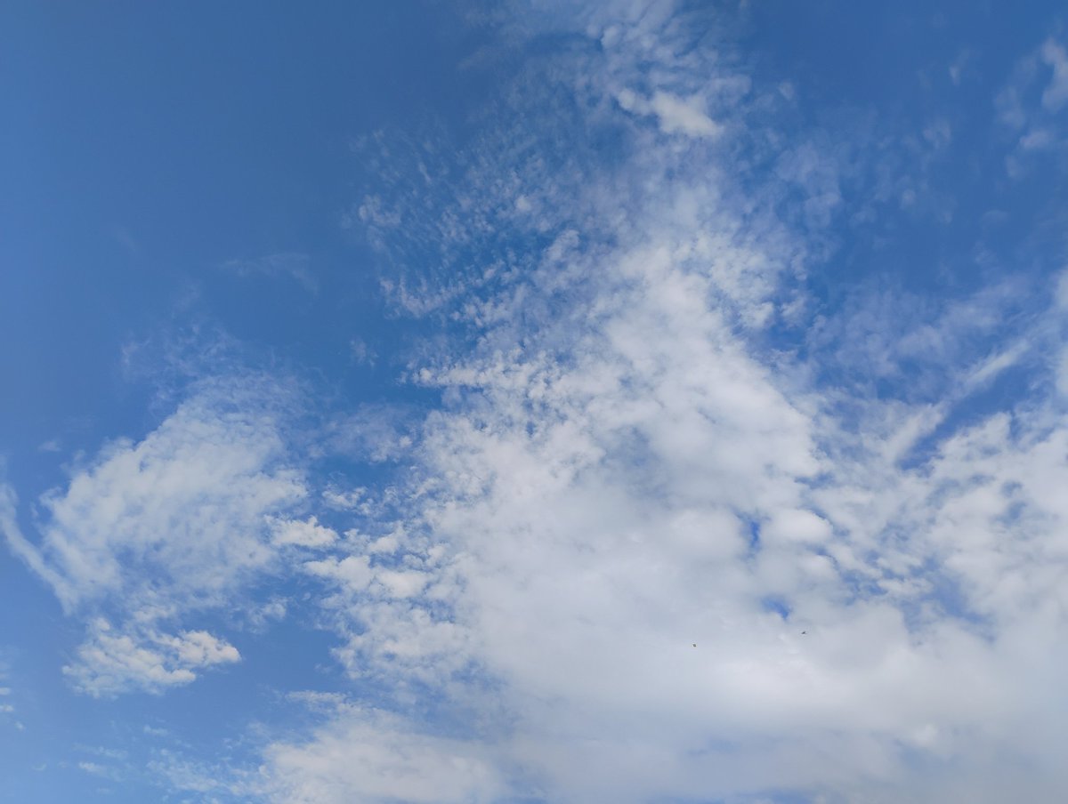 Ishtiyaq_sikar's tweet image. #Content_Writing 

Q.- Can anyone tell me what the job of a #MedicalRepresentative 
If possible and have time then reply please.

#PharmaLeader
#PharmaCoach

#JobOpportunities 
Look in the pharmaceutical job opportunity then you find the sky is the limit 
Thanks.