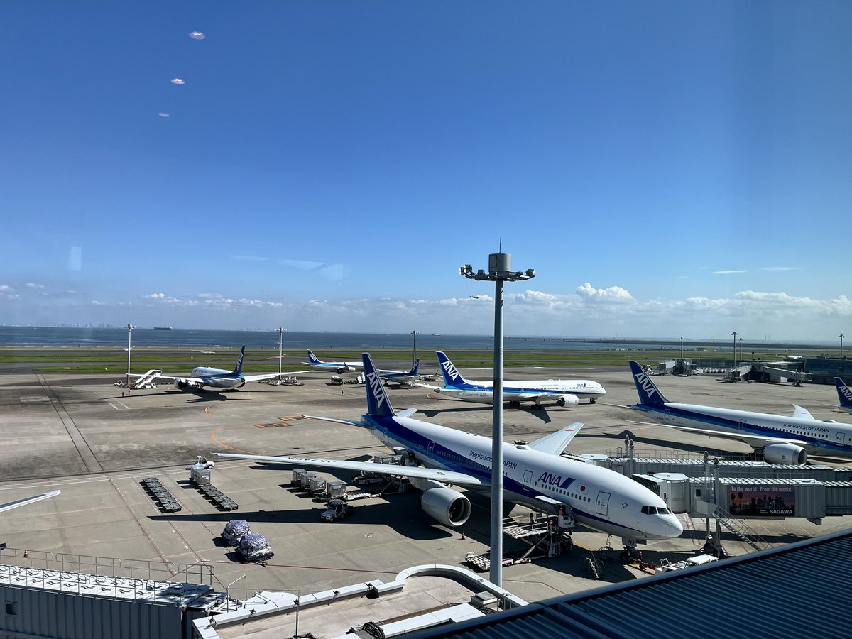YukilovesEng's tweet photo. お迎えに羽田空港に。
やっぱり空港は素敵✈️ https://t.co/4iAJ4W7Hz0