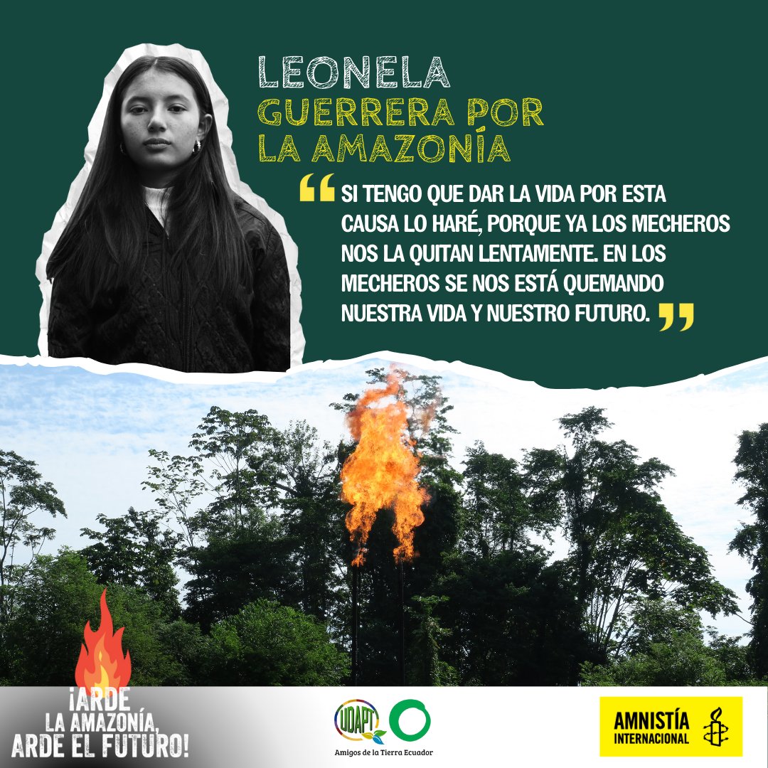 AmnistiaOnline's tweet photo. Hoy, en el #11O , #LuchaComoNiña💪🏽👧🏽. Inspírate en las @GuerrerasxAM que, junto a @udapt_oficial lograron una sentencia para eliminar los mecheros petroleros en la Amazonía.

#EliminaLaMecha, ¡Exige a @DanielNoboaOk cumplir la sentencia! https://t.co/KK24jFqtxu https://t.co/bbzGt3zLtz