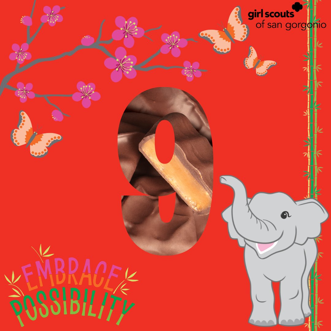 GirlScoutsSGC's tweet image. 🍁📆 9 more days to order Fall Product online using Girl Delivery! 

#GSSGC #GirlScoutsofSanGorgonio #GirlScouts #fallproductsale #girlboss #entreprenuership #countdown #inlandempire #riverside