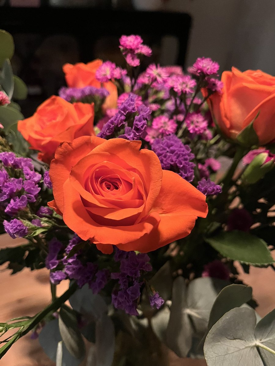 mikemurphy10's tweet photo. @CatnicUK a perfect Catnic colour rose ! https://t.co/UXbRMksOqd