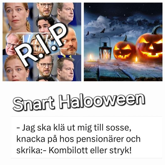 SDSTEFFE tweet media