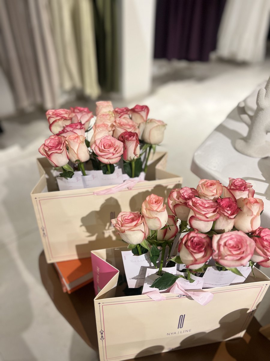 NYALine3's tweet photo. اكتوبر ال��ردي 🩷.

رايتك_وردية https://t.co/UojOWvPBtP