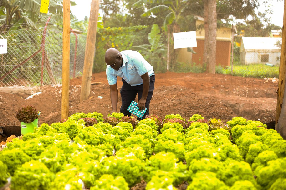 ShaphikMedia's tweet image. @ayan_africa  let us make initiatives inclusive of children&apos;s needs!
#childdevelopmentcenter
#childwellbeing
#safespaces
#innovationcenter 
@hiltonfound