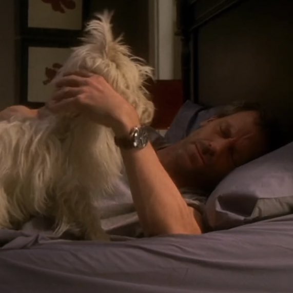 tboyhilson's tweet photo. house with animals, send tweet https://t.co/v7LB4tPUGm