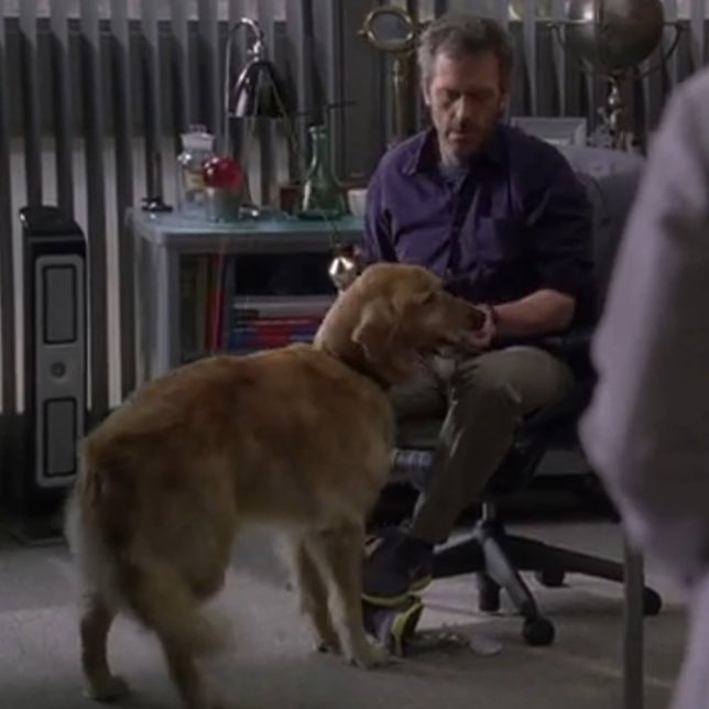 tboyhilson's tweet photo. house with animals, send tweet https://t.co/v7LB4tPUGm
