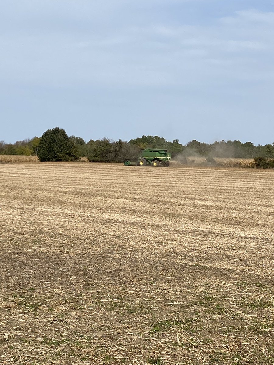 Toddridge Farm Services Ltd. tweet media