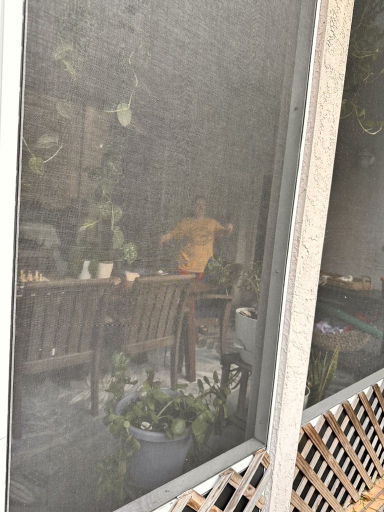 Michael Krokey (@ta2dnurse) on Twitter photo #miltonhurricane did a number on the yard , the landscaping, the routine and the peace of mind but it didnβt squash our vibe or our house!! Getting it back together after the shift every day β¦. Itβll be regular again soon. <a href="/J9Krokey/">Janine Krokey</a> #miltonhurricane did a number on the yard , the landscaping, the routine and the peace of mind but it didnβt squash our vibe or our house!! Getting it back together after the shift every day β¦. Itβll be regular again soon. <a href="/J9Krokey/">Janine Krokey</a>
