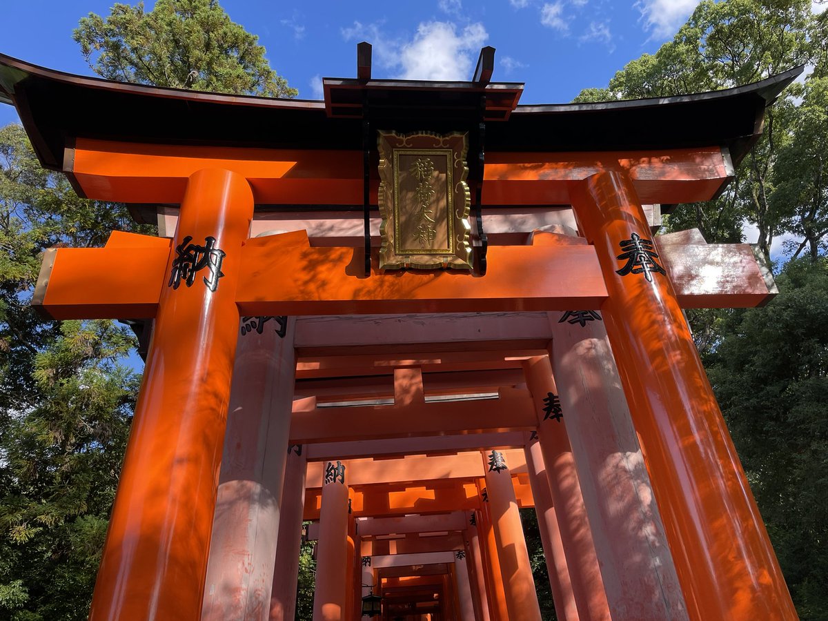 PeterboroughTra's tweet photo. #ToriiGates Kyoto https://t.co/kCHRe7V8OB