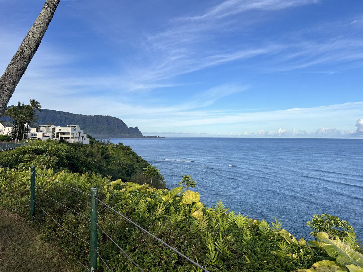 natsdad23's tweet photo. Our morning walk at Kauai. Celebrating our 40th wedding 💒 anniversary. 
Technically Sunday October 13th. 
We walked 4 miles this morning.
We thank GOD for our journey 🙏🏽 https://t.co/axuEqpFoJM
