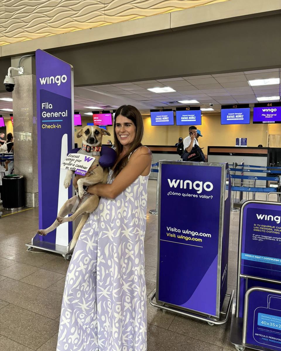 wingo's tweet photo. En Wingo, creemos que los miembros peludos de la familia merecen volar con todo el amor y cuidado🐾. Y aunque varias aerolíneas se rehusaron a llevar a Aurora en cabina por su peso… (hilo) https://t.co/klAkS58yWX