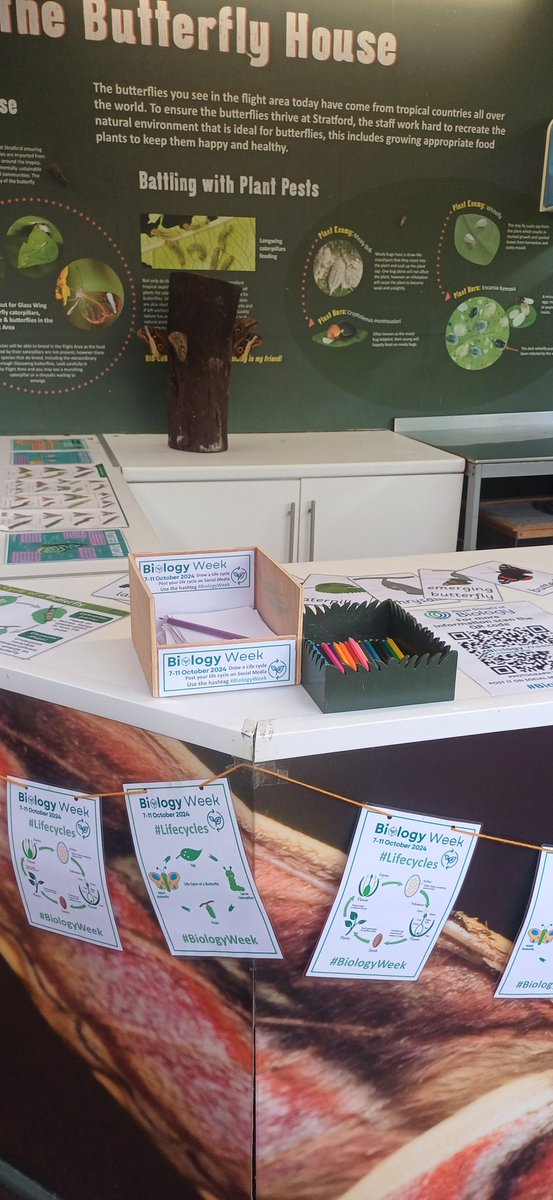 Stratford Butterfly tweet media