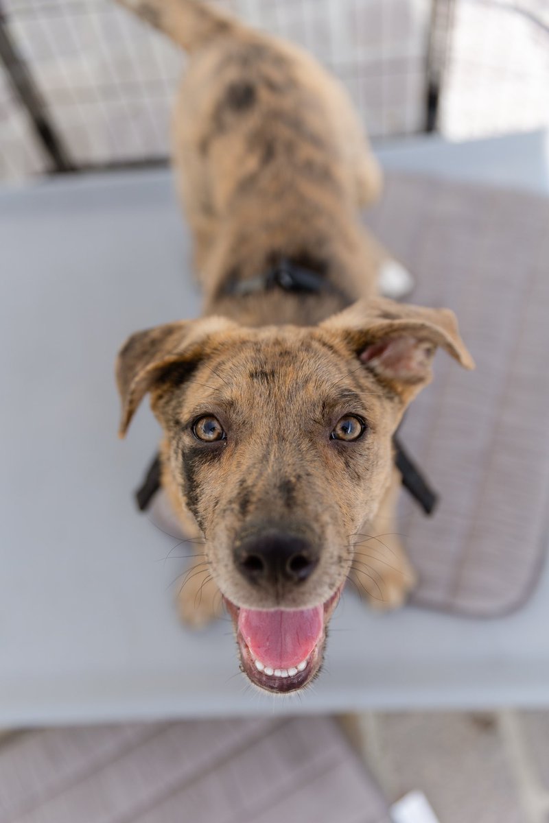 AlaNNa Rizzo tweet media