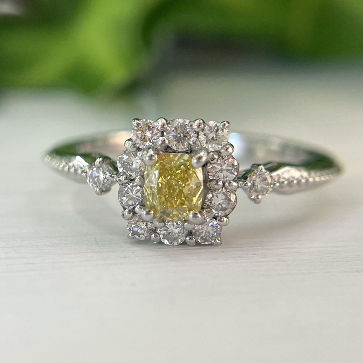 Gemelli19's tweet image. Fancy Color Diamond Rings💍🌈💕

上品可愛いリングたち♡
✧Fancy Intense Purple Pink &amp;amp; Paraibatourmaline
✧Fancy Purple Pink &amp;amp; Light Pink
✧Fancy Vivid Yellow &amp;amp; Diamond

キュっとしたアーム、ミルがクラシカルなデザイン🫰🏻

石ふしぎ大発見展1日目

 #fancycolordiamond
 #石ふしぎ大発見展