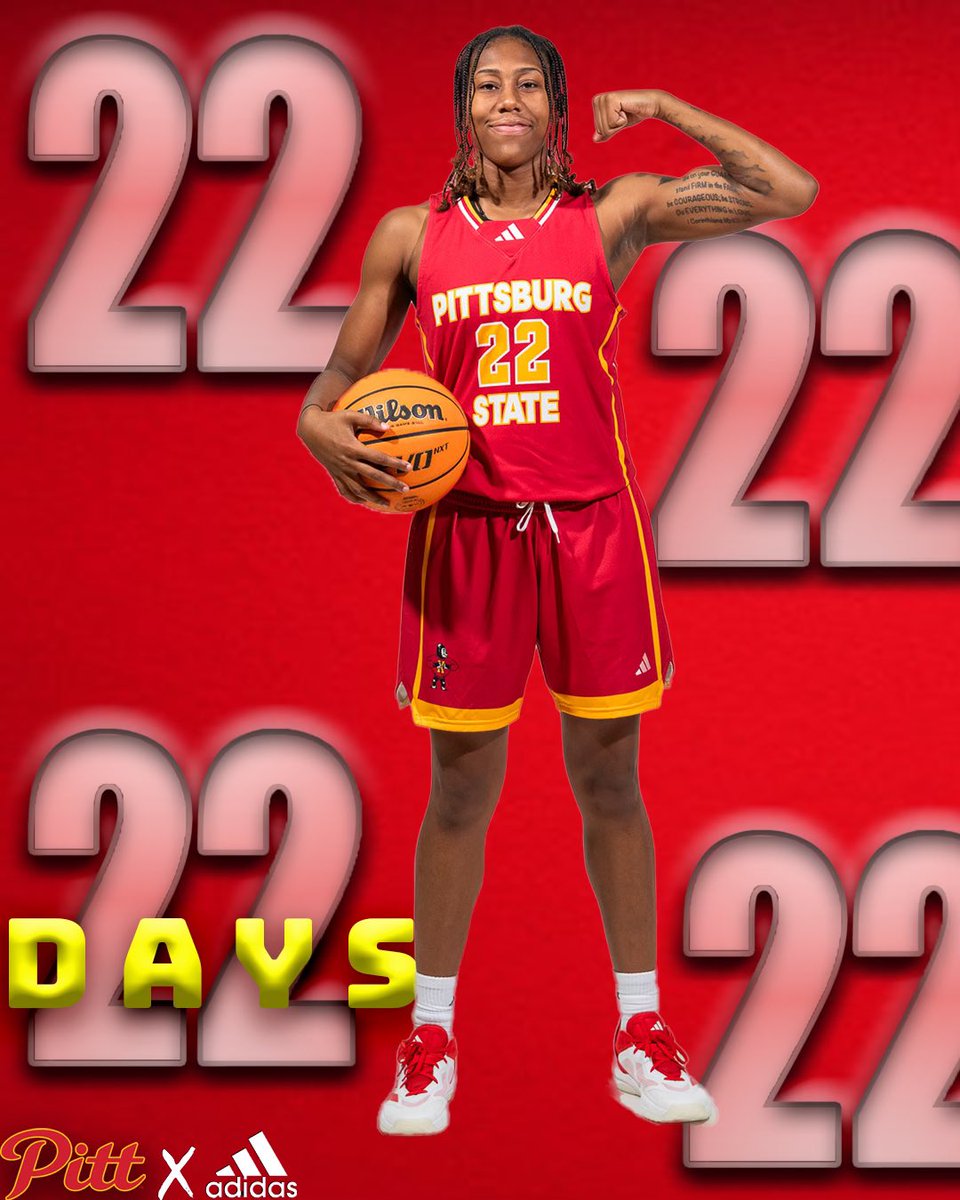 GorillasWBB's tweet photo. 2️⃣2️⃣ more days 

#GoRillas 
#TheTroop https://t.co/ruoTk4WFg5