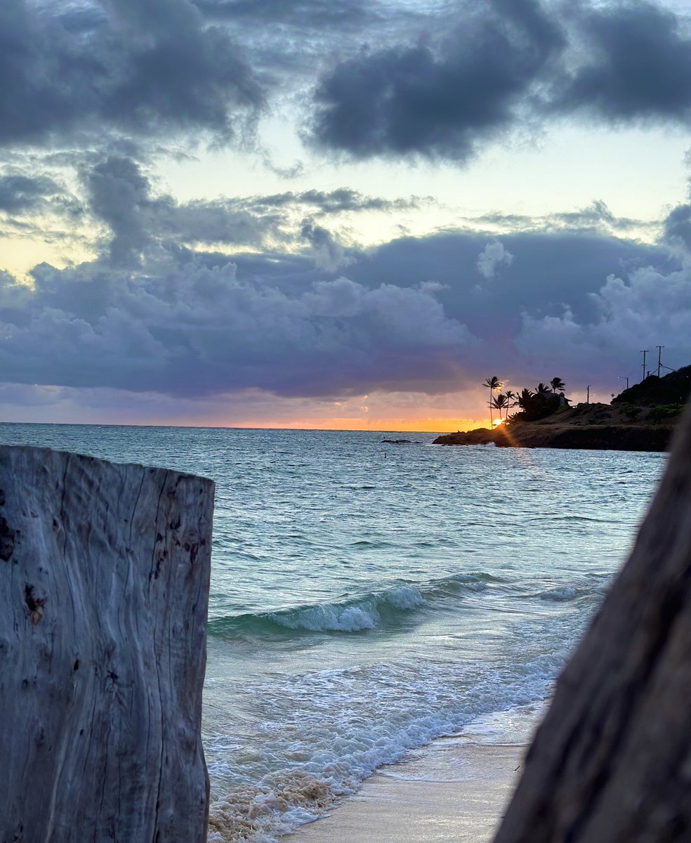 Laura Caba tweet media