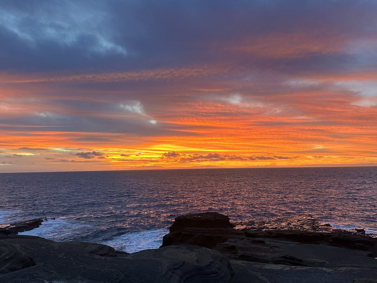 Laura Caba tweet media