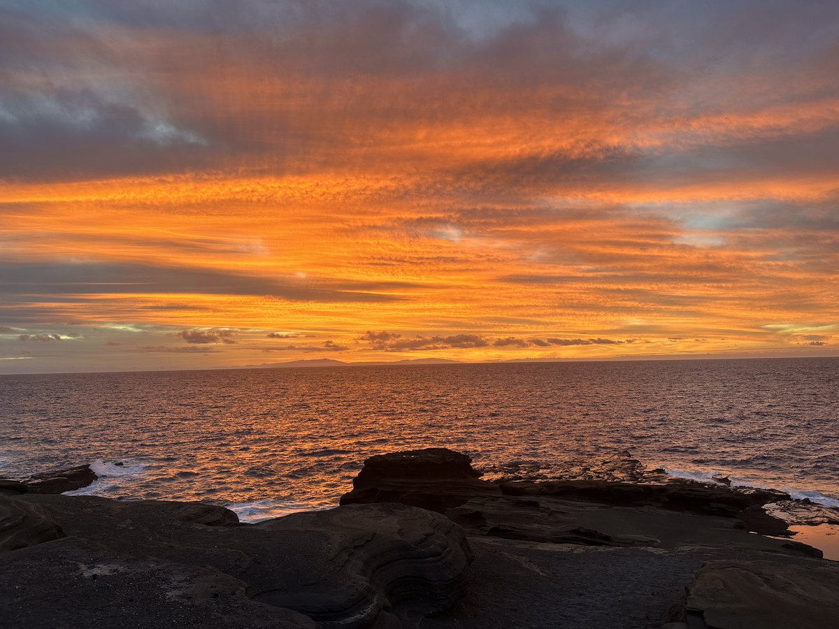 Laura Caba tweet media