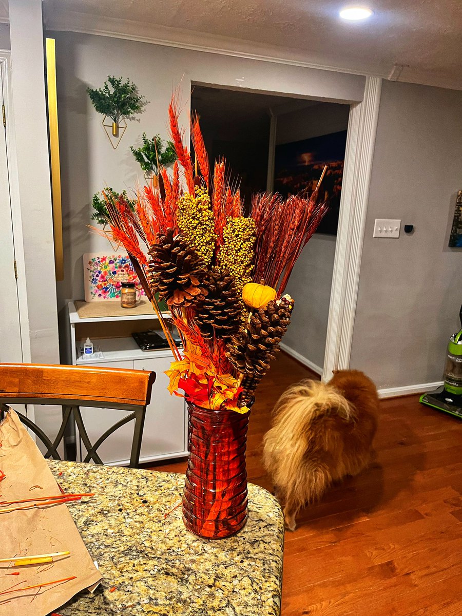 DCoop in the DMV🐺🕉 tweet media