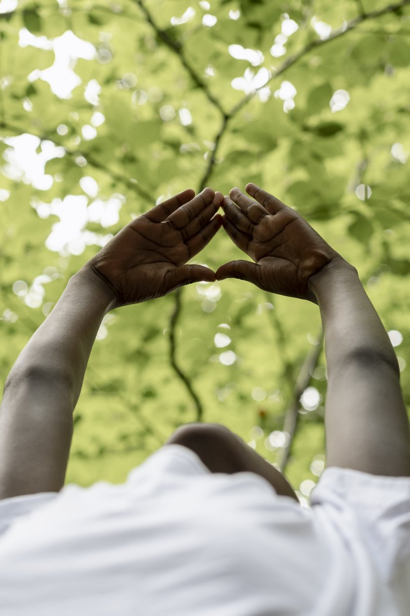 NatureCalling tweet media