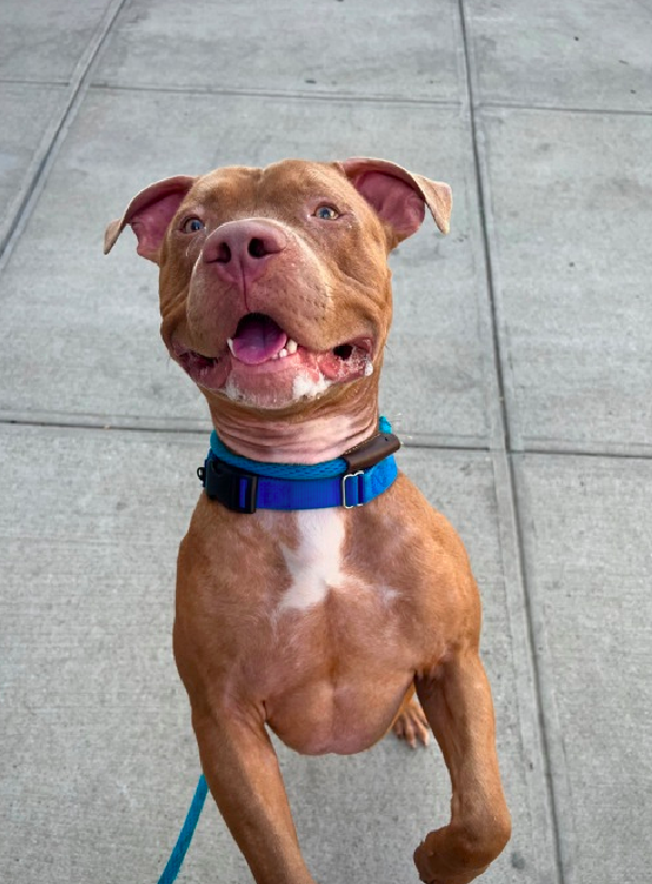 ZJ🌼 💖🌸🎀 tweet media