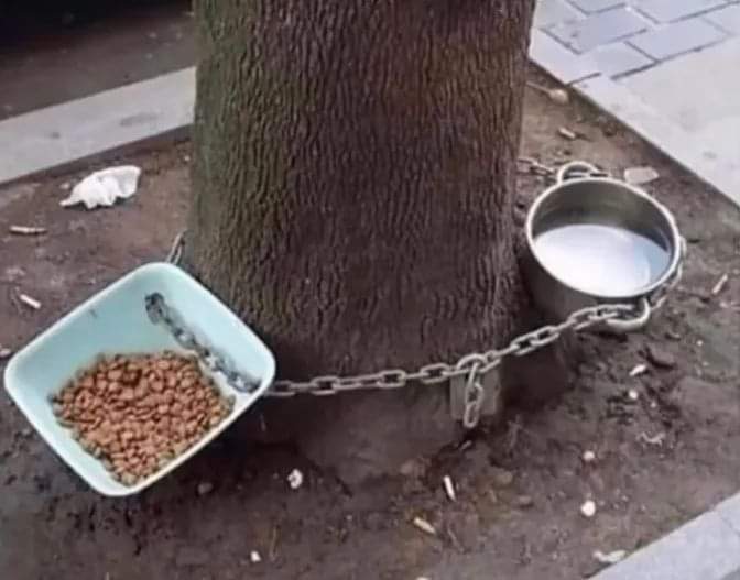 Tek bir fotoğrafta iyi ve kötü insanı anlatabilir misin Abidin?