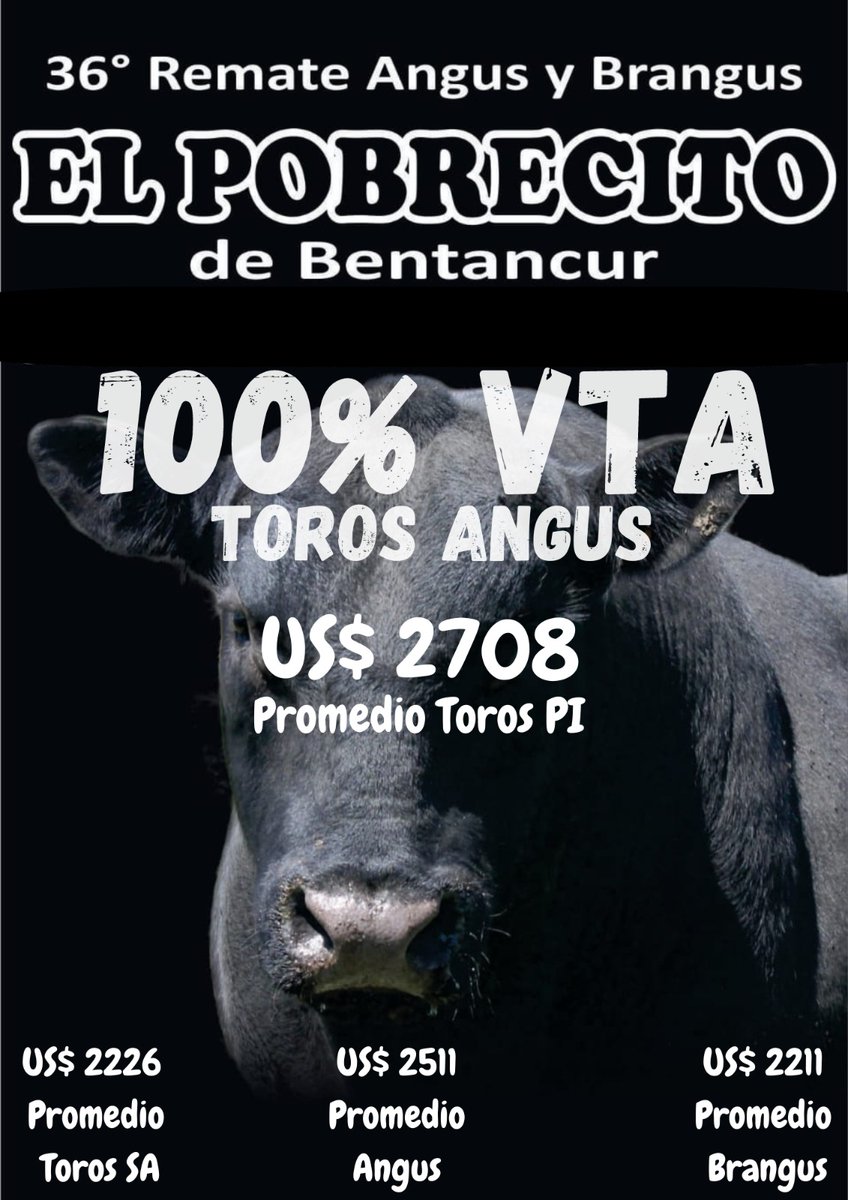 Se vendieron todos los Angus, de los hermanos Bentancur. Se fueron por todo el país.
Remate Virtual, en conjunto con Ramos y Garcíay BROU. 
auspicio de @angusuruguay y <a href="/brangusuruguay/">S. C. Brangus del UY</a> 

#remate #Auction #remateganadero #Angus #brangus #ganado #Cattle #UruguayCattle #dutrahnos