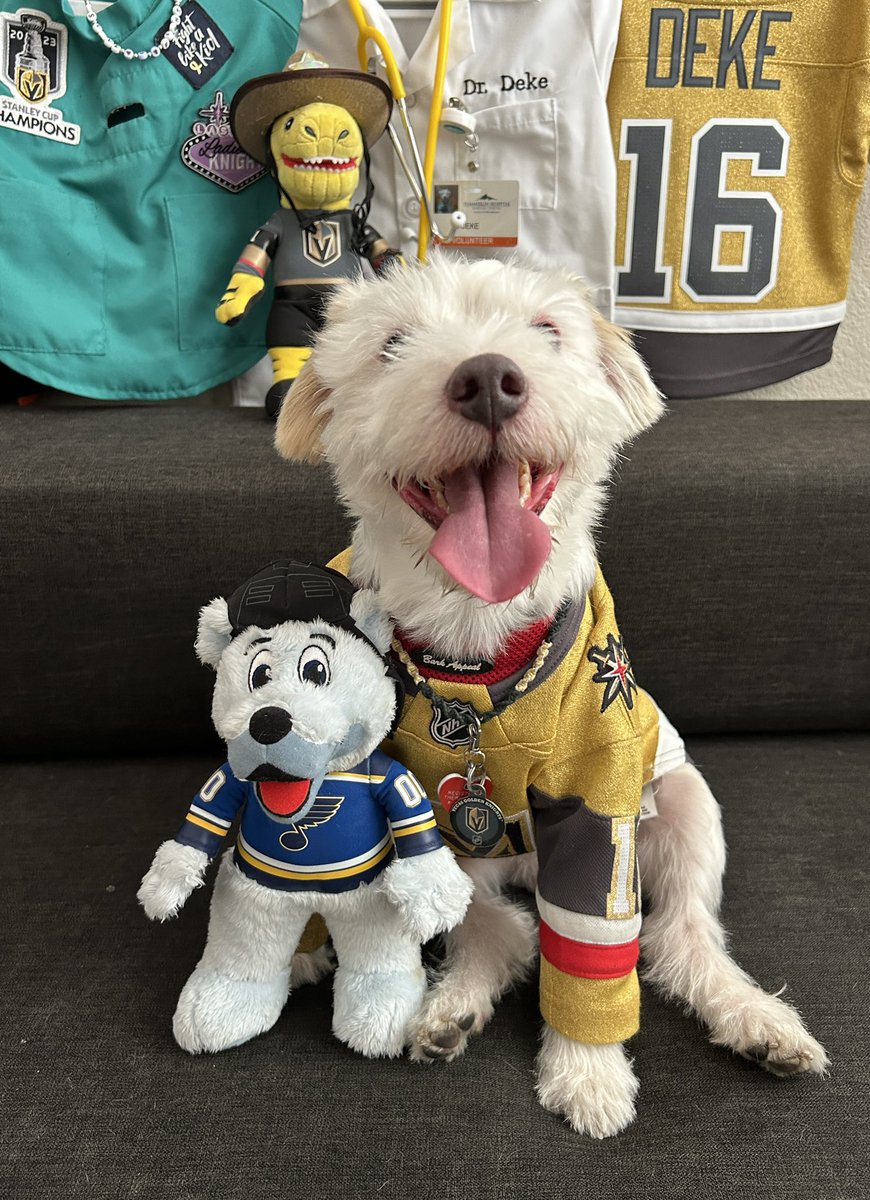DekeHenriFurry's tweet photo. I’m ready for the hockey!
~ Deke🐾
#VegasBorn
#GoKnightsGo
#STLvsVGK
#OpeningKnight https://t.co/Psosa8sHc5