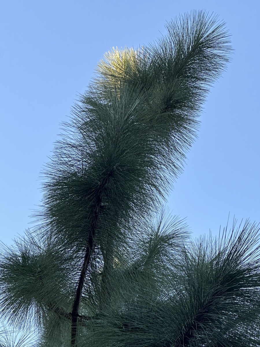 Patrick Skinner tweet media