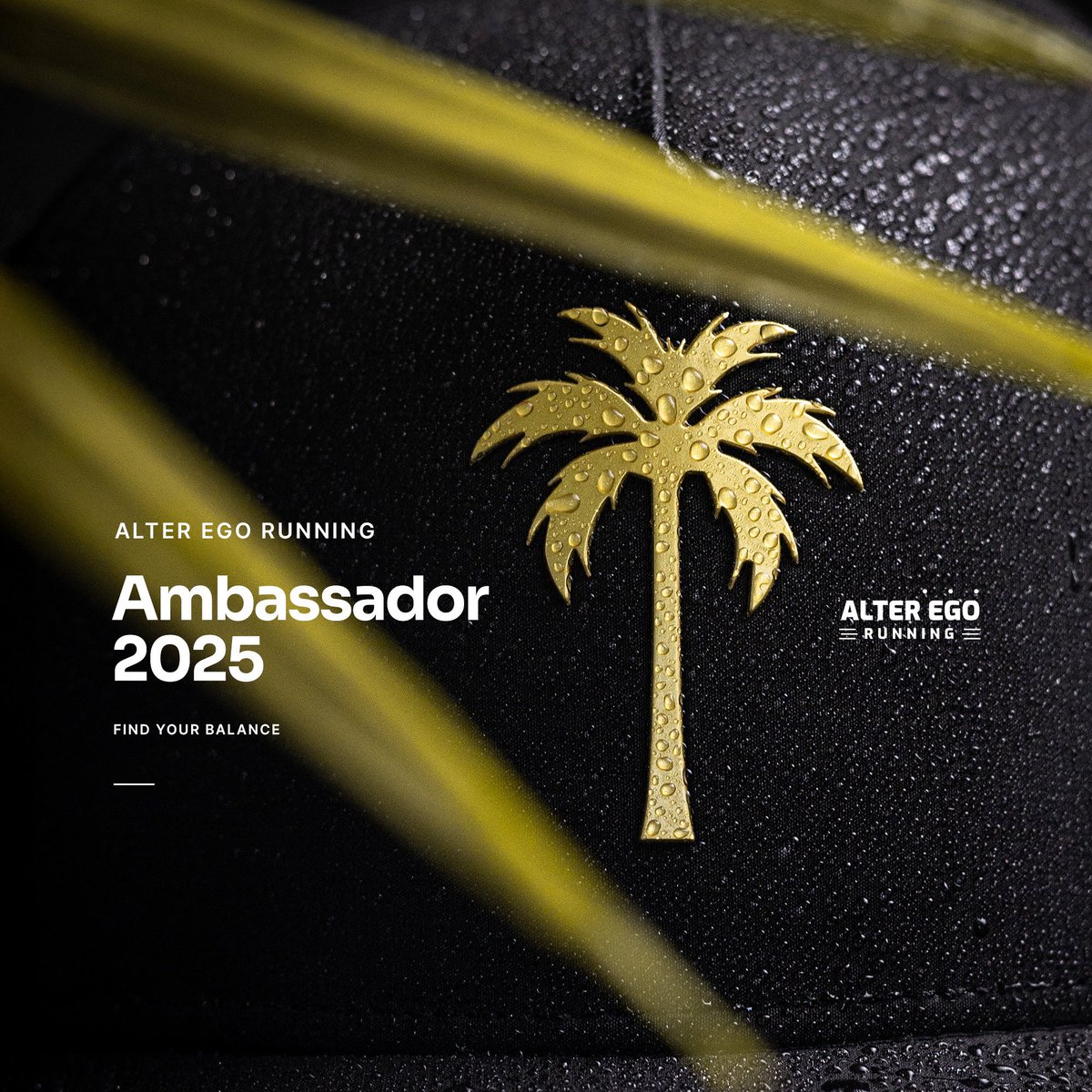 runninggriffin's tweet photo. Yay! Pumped to be an @AlterEgoRunning ambassador again in 2025! #AER2025 #RunWithAlterEgo https://t.co/UXFFu3j801