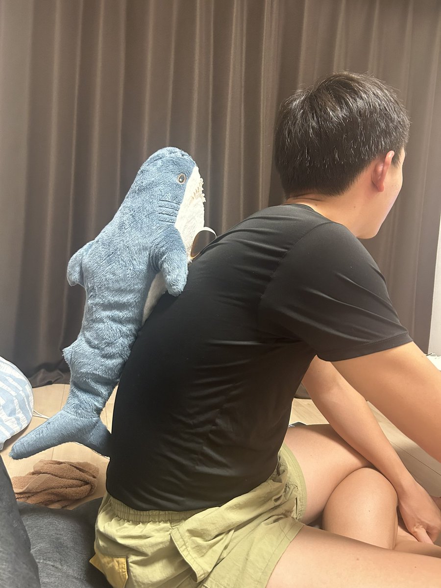 先日行った水族館でコバンザメにハマってから(かわいい)生態を調べまくってコバンザメごっこしたりしてる