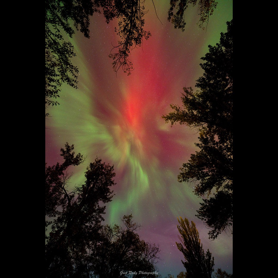 Greg_in_Osoyoos's tweet image. Amazing Northern Lights display last night !  You could clearly see the light dancing around, and faint green and red colours to the naked eye.   Osoyoos, B.C. October 10-11, 2024.  #astro #stars #galaxy #nightsky #aurora #northernlights #okanagan #BC # Canada