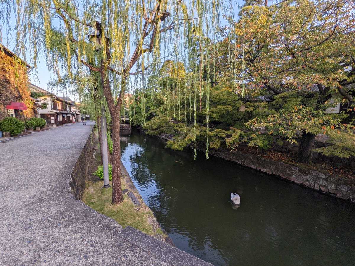 capk_com's tweet photo. 時間あったのでちょっと寄り道
いい時間に見れたかも😺 https://t.co/RwRjBcMJx2