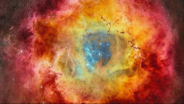 NoBSSpace tweet media